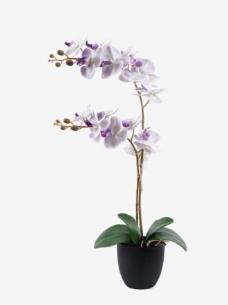 Artificial Flower 36*17*65cm Orchid in PP pot GS-03325041R 2025SEP 3,000+ sqm showroom with thousands of artificial flowers, plants & trees ready for global sourcing.