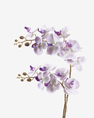Artificial Flower 36*17*65cm Orchid in PP pot GS-03325041R-Z1 2025SEP YeahFlower is one of Chinese leading OEM manufacturers and exporters , supplying the silk flowers, wholesale artificial trees Artificial Flower 36*17*65cm Orchid in PP pot GS-03325041R-Z1 2025SEP YeahFlower is one of Chinese leading OEM manufacturers and exporters , supplying the silk flowers, wholesale artificial trees
