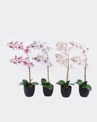Artificial Flower 36*17*65cm Orchid in PP pot GS-03325041R 2025SEP YeahFlower is one of Chinese leading OEM manufacturers and exporters , supplying the silk flowers, wholesale artificial trees Artificial Flower 36*17*65cm Orchid in PP pot GS-03325041R 2025SEP YeahFlower is one of Chinese leading OEM manufacturers and exporters , supplying the silk flowers, wholesale artificial trees
