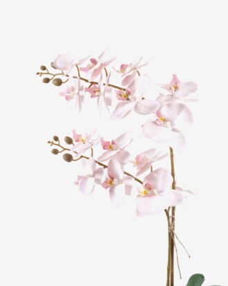 Artificial Flower 36*17*65cm Orchid in PP pot GS-03325041R 2025SEP YeahFlower is one of Chinese leading OEM manufacturers and exporters , supplying the silk flowers, wholesale artificial trees Artificial Flower 36*17*65cm Orchid in PP pot GS-03325041R 2025SEP YeahFlower is one of Chinese leading OEM manufacturers and exporters , supplying the silk flowers, wholesale artificial trees