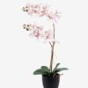 Artificial Flower 36*17*65cm Orchid in PP pot GS-03325041R 2025SEP YeahFlower is one of Chinese leading OEM manufacturers and exporters , supplying the silk flowers, wholesale artificial trees
