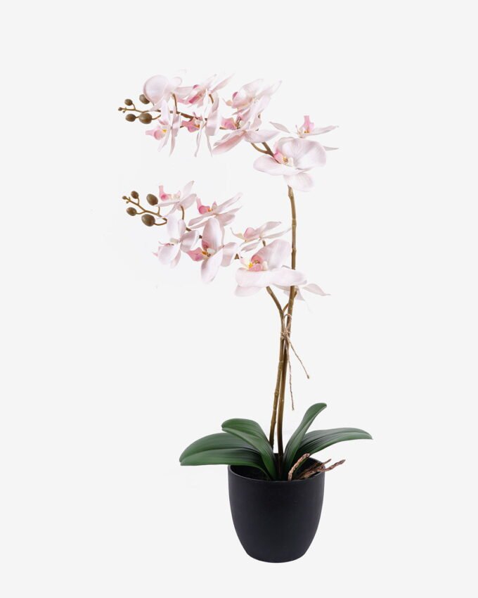 Artificial Flower 36*17*65cm Orchid in PP pot GS-03325041R 2025SEP YeahFlower is one of Chinese leading OEM manufacturers and exporters , supplying the silk flowers, wholesale artificial trees