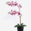 Artificial Flower 36*17*65cm Orchid in PP pot GS-03325041R 2025SEP YeahFlower is one of Chinese leading OEM manufacturers and exporters , supplying the silk flowers, wholesale artificial trees