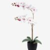 Artificial Flower 36*17*65cm Orchid in PP pot GS-03325041R 2025SEP YeahFlower is one of Chinese leading OEM manufacturers and exporters , supplying the silk flowers, wholesale artificial trees