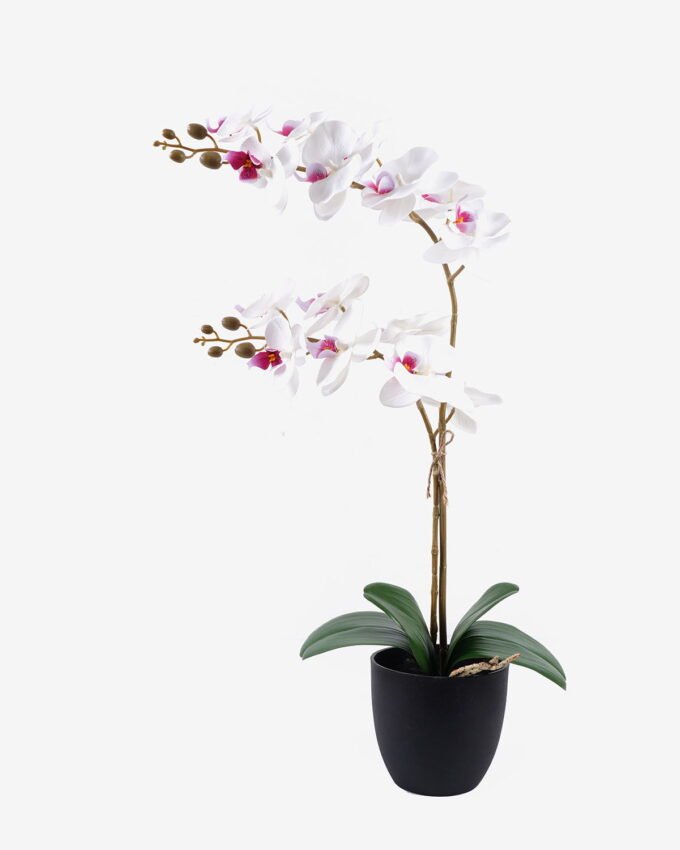 Artificial Flower 36*17*65cm Orchid in PP pot GS-03325041R 2025SEP YeahFlower is one of Chinese leading OEM manufacturers and exporters , supplying the silk flowers, wholesale artificial trees