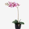 Artificial Flower Orchid in PP pot GS-03325042R-P2_4 Artificial Flower 30*13*46cm Orchid in PP pot GS-03325042R-P2 2025SEP YeahFlower is one of Chinese leading OEM manufacturers and exporters , supplying the silk flowers, wholesale artificial trees