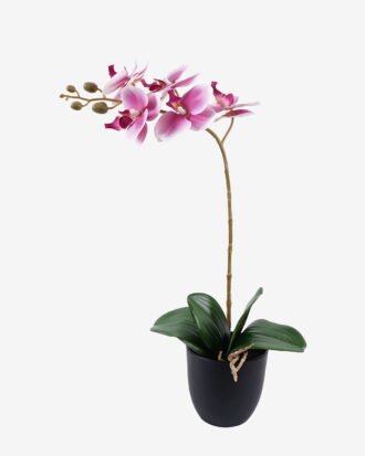 Artificial Flower 30*13*46cm Orchid in PP pot GS-03325042R-P2