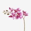 Artificial Flower Orchid in PP pot GS-03325042R-P2_5 Artificial Flower 30*13*46cm Orchid in PP pot GS-03325042R-P2 2025SEP YeahFlower is one of Chinese leading OEM manufacturers and exporters , supplying the silk flowers, wholesale artificial trees