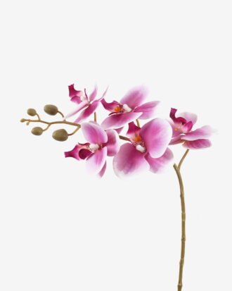 Artificial Flower 30*13*46cm Orchid in PP pot GS-03325042R-P2 2025SEP YeahFlower is one of Chinese leading OEM manufacturers and exporters , supplying the silk flowers, wholesale artificial trees Artificial Flower 30*13*46cm Orchid in PP pot GS-03325042R-P2 2025SEP YeahFlower is one of Chinese leading OEM manufacturers and exporters , supplying the silk flowers, wholesale artificial trees