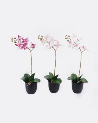 Artificial Flower 30*13*46cm Orchid in PP pot GS-03325042R 2025SEP YeahFlower is one of Chinese leading OEM manufacturers and exporters , supplying the silk flowers, wholesale artificial trees Artificial Flower 30*13*46cm Orchid in PP pot GS-03325042R 2025SEP YeahFlower is one of Chinese leading OEM manufacturers and exporters , supplying the silk flowers, wholesale artificial trees