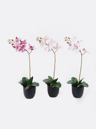 Artificial Tree 50*50*90cm Tree *34 in PP pot GS-26625010CT 2025SEP YeahFlower is one of Chinese leading OEM manufacturers and exporters , supplying the silk flowers, wholesale artificial trees