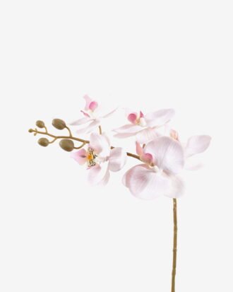Artificial Flower 30*13*46cm Orchid in PP pot GS-03325042R 2025SEP YeahFlower is one of Chinese leading OEM manufacturers and exporters , supplying the silk flowers, wholesale artificial trees Artificial Flower 30*13*46cm Orchid in PP pot GS-03325042R 2025SEP YeahFlower is one of Chinese leading OEM manufacturers and exporters , supplying the silk flowers, wholesale artificial trees