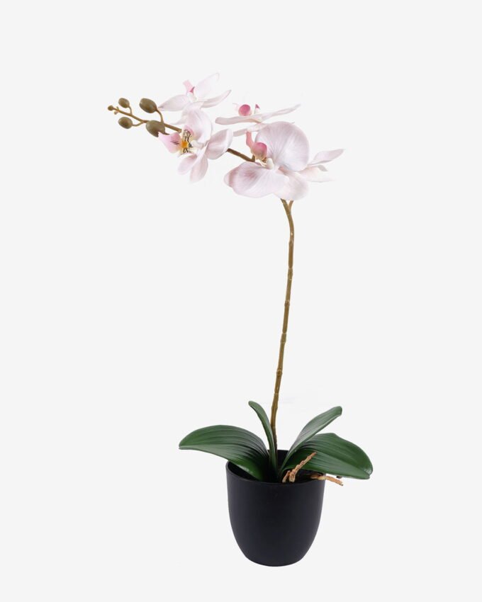 Artificial Flower 30*13*46cm Orchid in PP pot GS-03325042R 2025SEP YeahFlower is one of Chinese leading OEM manufacturers and exporters , supplying the silk flowers, wholesale artificial trees