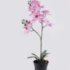 Artificial Flower Orchid in PP pot GS-03325048-P2_1 Artificial Flower 30*27*58cm Orchid in PP pot GS-03325048-P2 2025SEP YeahFlower is one of Chinese leading OEM manufacturers and exporters , supplying the silk flowers, wholesale artificial trees