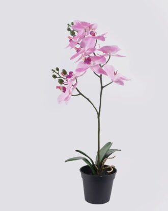 Artificial Flower 30*27*58cm Orchid in PP pot GS-03325048-P2 2025SEP YeahFlower is one of Chinese leading OEM manufacturers and exporters , supplying the silk flowers, wholesale artificial trees Artificial Flower 30*27*58cm Orchid in PP pot GS-03325048-P2 2025SEP YeahFlower is one of Chinese leading OEM manufacturers and exporters , supplying the silk flowers, wholesale artificial trees
