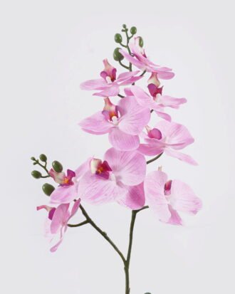 Artificial Flower 30*27*58cm Orchid in PP pot GS-03325048-P2 2025SEP YeahFlower is one of Chinese leading OEM manufacturers and exporters , supplying the silk flowers, wholesale artificial trees Artificial Flower 30*27*58cm Orchid in PP pot GS-03325048-P2 2025SEP YeahFlower is one of Chinese leading OEM manufacturers and exporters , supplying the silk flowers, wholesale artificial trees