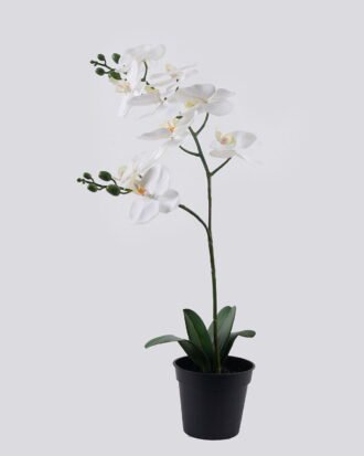 Artificial Flower 30*27*58cm Orchid in PP pot GS-03325048-W1 2025SEP YeahFlower is one of Chinese leading OEM manufacturers and exporters , supplying the silk flowers, wholesale artificial trees Artificial Flower 30*27*58cm Orchid in PP pot GS-03325048-W1 2025SEP YeahFlower is one of Chinese leading OEM manufacturers and exporters , supplying the silk flowers, wholesale artificial trees
