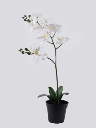Artificial Flower 30*27*58cm Orchid in PP pot GS-03325048-P2 2025SEP 3,000+ sqm showroom with thousands of artificial flowers, plants & trees ready for global sourcing.