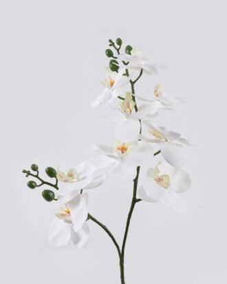 Artificial Flower 30*27*58cm Orchid in PP pot GS-03325048-W1 2025SEP YeahFlower is one of Chinese leading OEM manufacturers and exporters , supplying the silk flowers, wholesale artificial trees Artificial Flower 30*27*58cm Orchid in PP pot GS-03325048-W1 2025SEP YeahFlower is one of Chinese leading OEM manufacturers and exporters , supplying the silk flowers, wholesale artificial trees