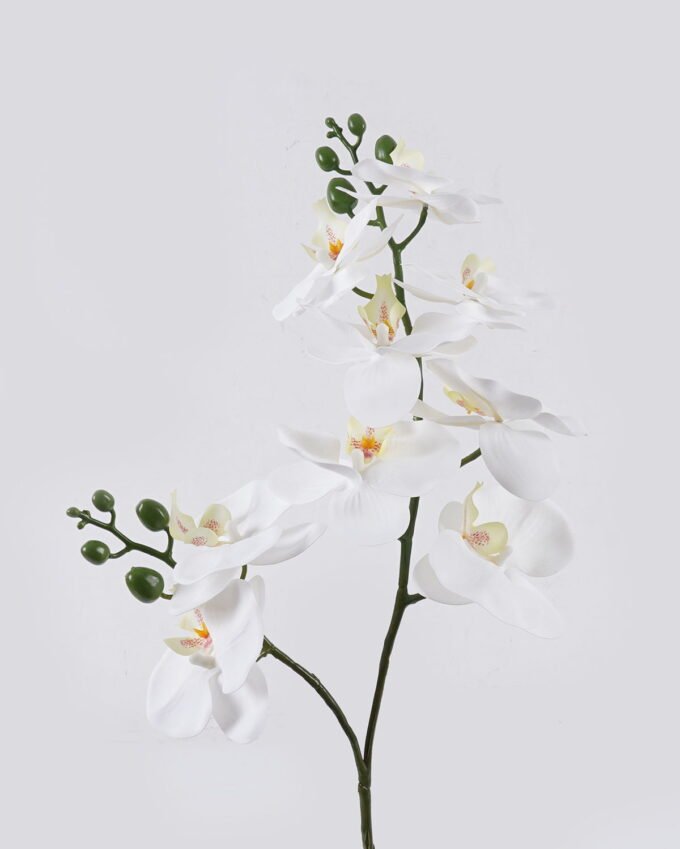 Artificial Flower 30*27*58cm Orchid in PP pot GS-03325048-W1 2025SEP YeahFlower is one of Chinese leading OEM manufacturers and exporters , supplying the silk flowers, wholesale artificial trees
