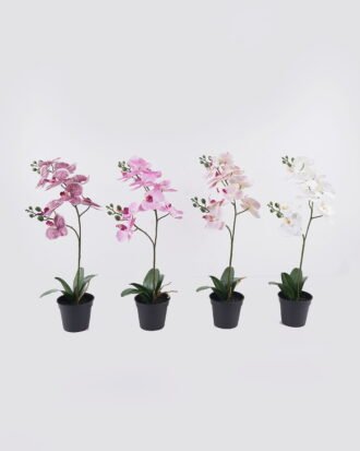 Artificial Flower 30*27*58cm Orchid in PP pot GS-03325048 2025SEP YeahFlower is one of Chinese leading OEM manufacturers and exporters , supplying the silk flowers, wholesale artificial trees Artificial Flower 30*27*58cm Orchid in PP pot GS-03325048 2025SEP YeahFlower is one of Chinese leading OEM manufacturers and exporters , supplying the silk flowers, wholesale artificial trees