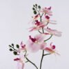 Artificial Flower 30*27*58cm Orchid in PP pot GS-03325048 2025SEP YeahFlower is one of Chinese leading OEM manufacturers and exporters , supplying the silk flowers, wholesale artificial trees