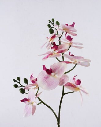 Artificial Flower 30*27*58cm Orchid in PP pot GS-03325048 2025SEP YeahFlower is one of Chinese leading OEM manufacturers and exporters , supplying the silk flowers, wholesale artificial trees Artificial Flower 30*27*58cm Orchid in PP pot GS-03325048 2025SEP YeahFlower is one of Chinese leading OEM manufacturers and exporters , supplying the silk flowers, wholesale artificial trees