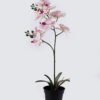 Artificial Flower 30*27*58cm Orchid in PP pot GS-03325048 2025SEP YeahFlower is one of Chinese leading OEM manufacturers and exporters , supplying the silk flowers, wholesale artificial trees