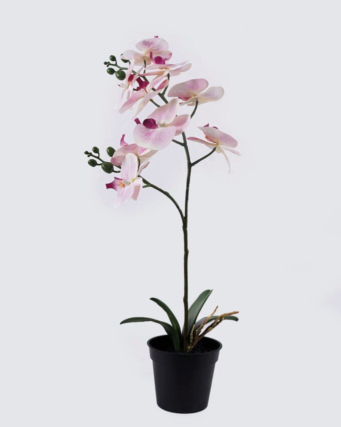 Artificial Flower 30*27*58cm Orchid in PP pot GS-03325048 2025SEP YeahFlower is one of Chinese leading OEM manufacturers and exporters , supplying the silk flowers, wholesale artificial trees