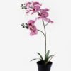 Artificial Flower 30*27*58cm Orchid in PP pot GS-03325048 2025SEP YeahFlower is one of Chinese leading OEM manufacturers and exporters , supplying the silk flowers, wholesale artificial trees