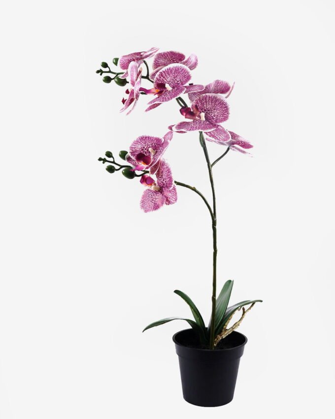 Artificial Flower 30*27*58cm Orchid in PP pot GS-03325048 2025SEP YeahFlower is one of Chinese leading OEM manufacturers and exporters , supplying the silk flowers, wholesale artificial trees