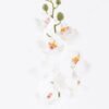 Artificial Flower 13*73cm Orchid single stem GS-64925009-RST 2025Oct YeahFlower is one of Chinese leading OEM manufacturers and exporters , supplying the silk flowers, wholesale artificial trees
