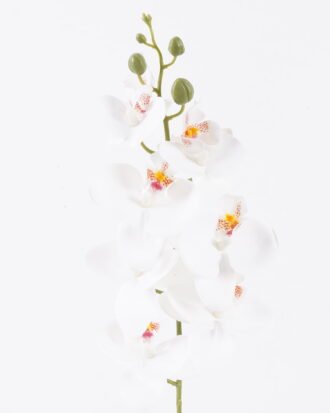 Artificial Flower 13*73cm Orchid single stem GS-64925009-RST 2025Oct YeahFlower is one of Chinese leading OEM manufacturers and exporters , supplying the silk flowers, wholesale artificial trees Artificial Flower 13*73cm Orchid single stem GS-64925009-RST 2025Oct YeahFlower is one of Chinese leading OEM manufacturers and exporters , supplying the silk flowers, wholesale artificial trees