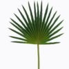 Artificial Flower 40*80cm Palm leaf single stem GS-50525056 2025Oct YeahFlower is one of Chinese leading OEM manufacturers and exporters , supplying the silk flowers, wholesale artificial trees