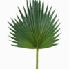 Artificial Flower 29*79cm Palm leaf single stem GS-50525057 2025Oct YeahFlower is one of Chinese leading OEM manufacturers and exporters , supplying the silk flowers, wholesale artificial trees