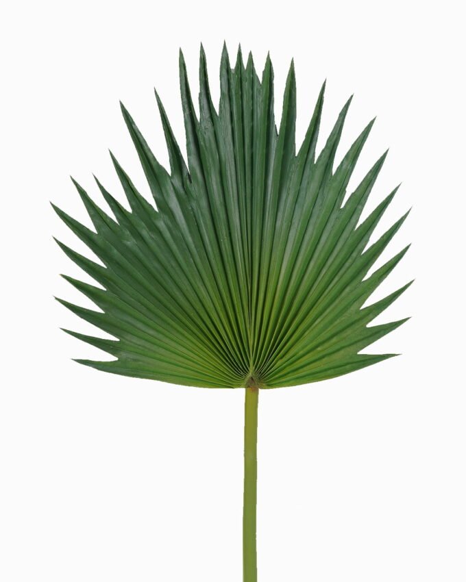 Artificial Flower 29*79cm Palm leaf single stem GS-50525057 2025Oct YeahFlower is one of Chinese leading OEM manufacturers and exporters , supplying the silk flowers, wholesale artificial trees