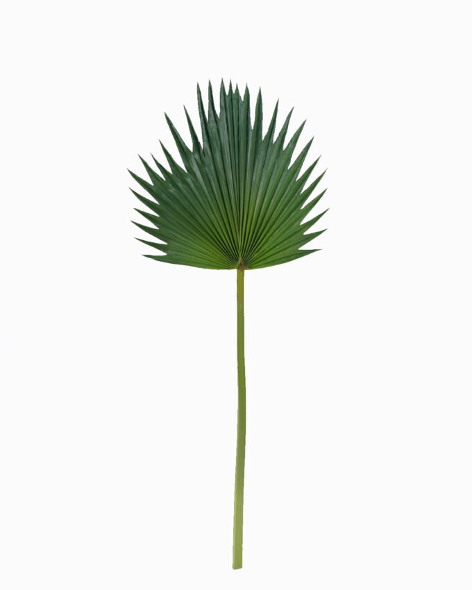 Artificial Flower 29*79cm Palm leaf single stem GS-50525057 2025Oct YeahFlower is one of Chinese leading OEM manufacturers and exporters , supplying the silk flowers, wholesale artificial trees