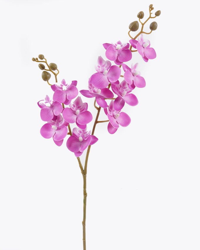 Artificial Flower 15*62cm Phalaenopsis *12 single stem GS-64923020R-RST-P1 2025Oct YeahFlower is one of Chinese leading OEM manufacturers and exporters , supplying the silk flowers, wholesale artificial trees
