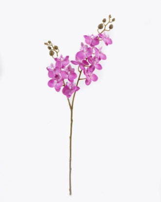 Artificial Flower 15*62cm Phalaenopsis *12 single stem GS-64923020R-RST-P1 2025Oct YeahFlower is one of Chinese leading OEM manufacturers and exporters , supplying the silk flowers, wholesale artificial trees Artificial Flower 15*62cm Phalaenopsis *12 single stem GS-64923020R-RST-P1 2025Oct YeahFlower is one of Chinese leading OEM manufacturers and exporters , supplying the silk flowers, wholesale artificial trees