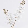Artificial Flower Phalaenopsis 12 single stem GS-64923020R-RST-W3_1 Artificial Flower 15*62cm Phalaenopsis *12 single stem GS-64923020R-RST 2025Oct YeahFlower is one of Chinese leading OEM manufacturers and exporters , supplying the silk flowers, wholesale artificial trees