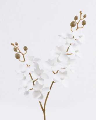 Artificial Flower 15*62cm Phalaenopsis *12 single stem GS-64923020R-RST-W3 2025Oct YeahFlower is one of Chinese leading OEM manufacturers and exporters , supplying the silk flowers, wholesale artificial trees Artificial Flower 15*62cm Phalaenopsis *12 single stem GS-64923020R-RST-W3 2025Oct YeahFlower is one of Chinese leading OEM manufacturers and exporters , supplying the silk flowers, wholesale artificial trees