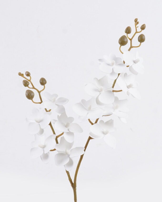 Artificial Flower Phalaenopsis 12 single stem GS-64923020R-RST-W3_1 Artificial Flower 15*62cm Phalaenopsis *12 single stem GS-64923020R-RST 2025Oct YeahFlower is one of Chinese leading OEM manufacturers and exporters , supplying the silk flowers, wholesale artificial trees