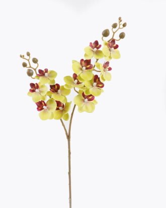 Artificial Flower 15*62cm Phalaenopsis *12 single stem GS-64923020R-RST 2025Oct YeahFlower is one of Chinese leading OEM manufacturers and exporters , supplying the silk flowers, wholesale artificial trees Artificial Flower 15*62cm Phalaenopsis *12 single stem GS-64923020R-RST 2025Oct YeahFlower is one of Chinese leading OEM manufacturers and exporters , supplying the silk flowers, wholesale artificial trees