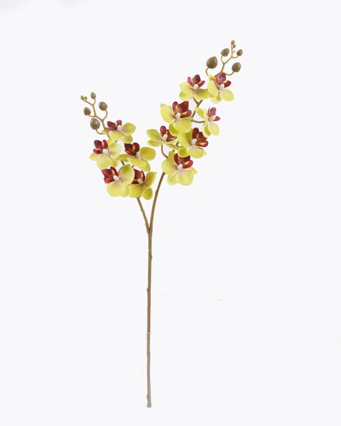 Artificial Flower Phalaenopsis 12 single stem GS-64923020R-RST_3 Artificial Flower 15*62cm Phalaenopsis *12 single stem GS-64923020R-RST 2025Oct YeahFlower is one of Chinese leading OEM manufacturers and exporters , supplying the silk flowers, wholesale artificial trees