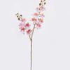 Artificial Flower Phalaenopsis 12 single stem GS-64923020R-RST_4 Artificial Flower 15*62cm Phalaenopsis *12 single stem GS-64923020R-RST 2025Oct YeahFlower is one of Chinese leading OEM manufacturers and exporters , supplying the silk flowers, wholesale artificial trees
