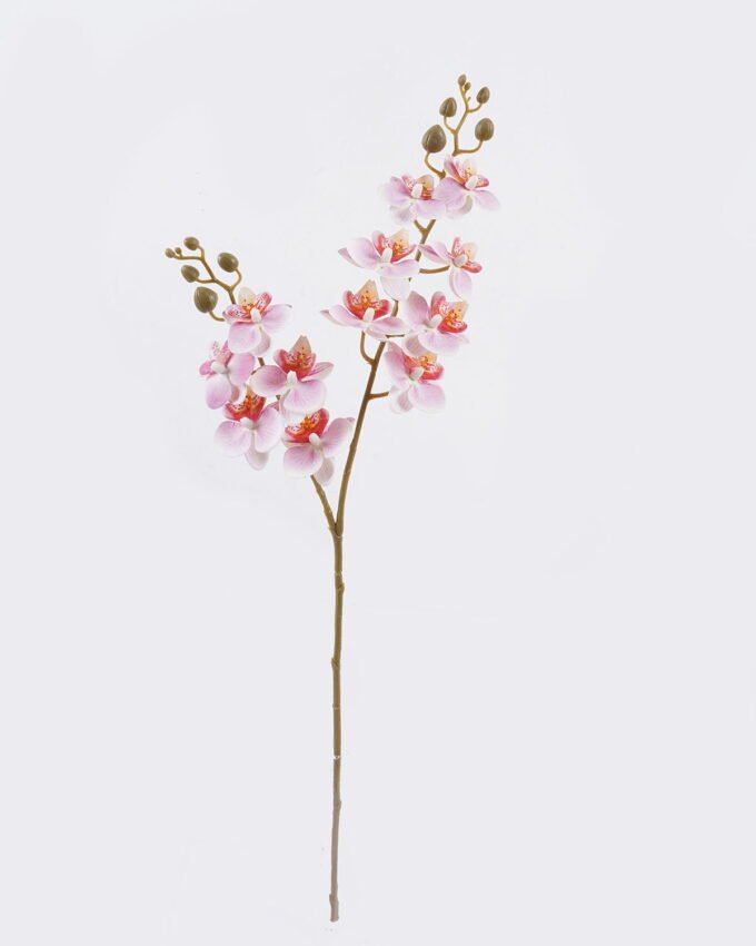 Artificial Flower Phalaenopsis 12 single stem GS-64923020R-RST_4 Artificial Flower 15*62cm Phalaenopsis *12 single stem GS-64923020R-RST 2025Oct YeahFlower is one of Chinese leading OEM manufacturers and exporters , supplying the silk flowers, wholesale artificial trees