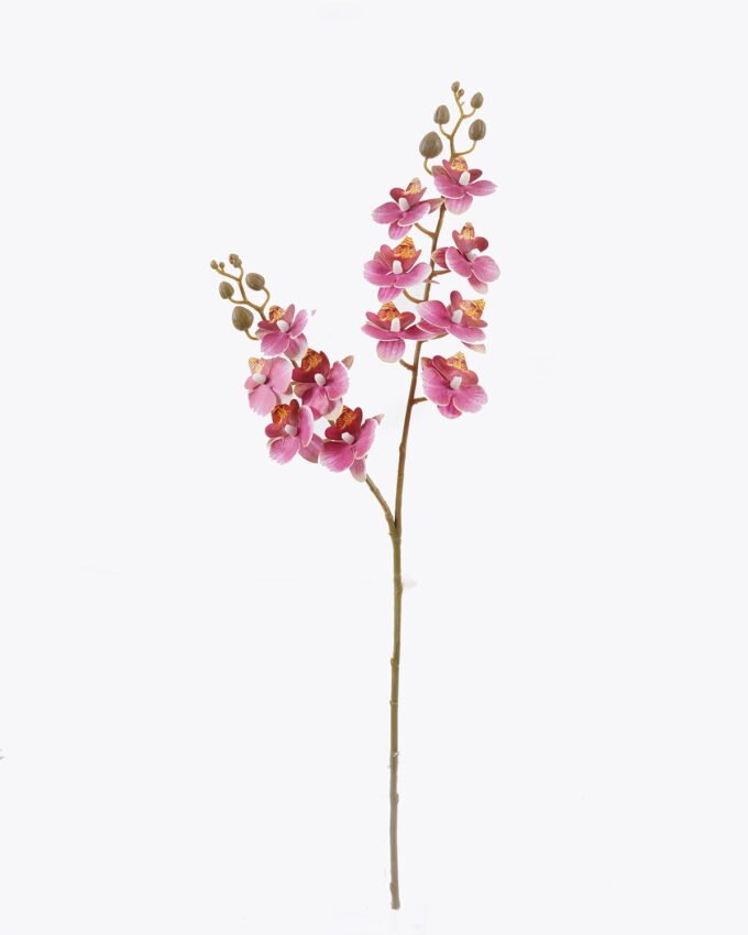 Artificial Flower Phalaenopsis 12 single stem GS-64923020R-RST_5 Artificial Flower 15*62cm Phalaenopsis *12 single stem GS-64923020R-RST 2025Oct YeahFlower is one of Chinese leading OEM manufacturers and exporters , supplying the silk flowers, wholesale artificial trees