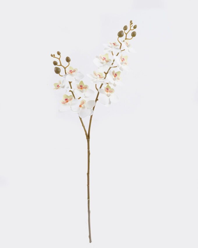 Artificial Flower Phalaenopsis 12 single stem GS-64923020R-RST_6 Artificial Flower 15*62cm Phalaenopsis *12 single stem GS-64923020R-RST 2025Oct YeahFlower is one of Chinese leading OEM manufacturers and exporters , supplying the silk flowers, wholesale artificial trees