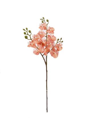 Artificial Flower 15*15*58cm Phalaenopsis *3 single stem GS-64925025-O1 2025Oct YeahFlower is one of Chinese leading OEM manufacturers and exporters , supplying the silk flowers, wholesale artificial trees Artificial Flower 15*15*58cm Phalaenopsis *3 single stem GS-64925025-O1 2025Oct YeahFlower is one of Chinese leading OEM manufacturers and exporters , supplying the silk flowers, wholesale artificial trees