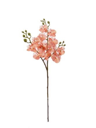 Artificial Flower 15*15*58cm Phalaenopsis *3 single stem GS-64925025-P1 2025Oct 3,000+ sqm showroom with thousands of artificial flowers, plants & trees ready for global sourcing.